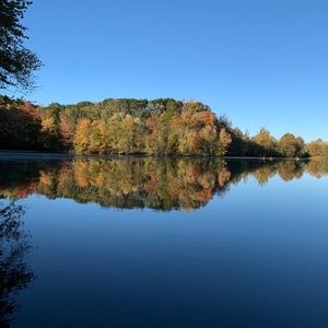 Meet your Posher, Cyntra